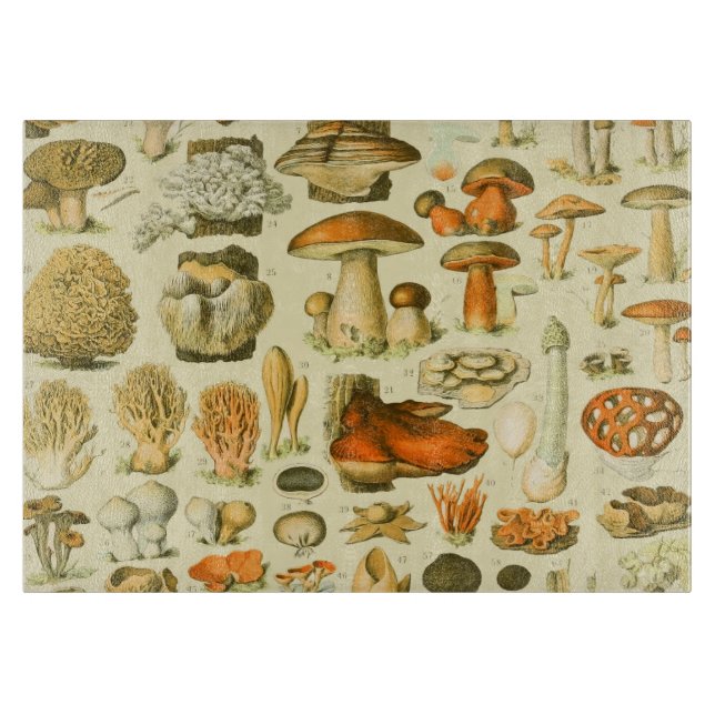 Mushroom Vintage Toadstool Antique Illustration Cutting Board (Front)