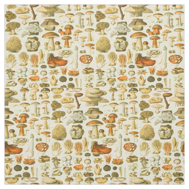Mushroom Vintage Toadstool Antique Illustration Fabric (Swatch)