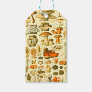 Mushroom Vintage Toadstool Antique Illustration Gift Tags