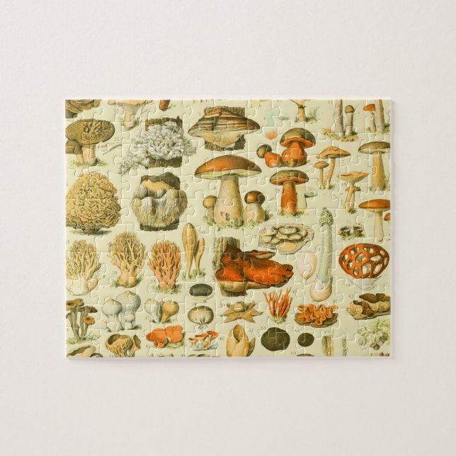 Mushroom Vintage Toadstool Antique Illustration Jigsaw Puzzle (Horizontal)