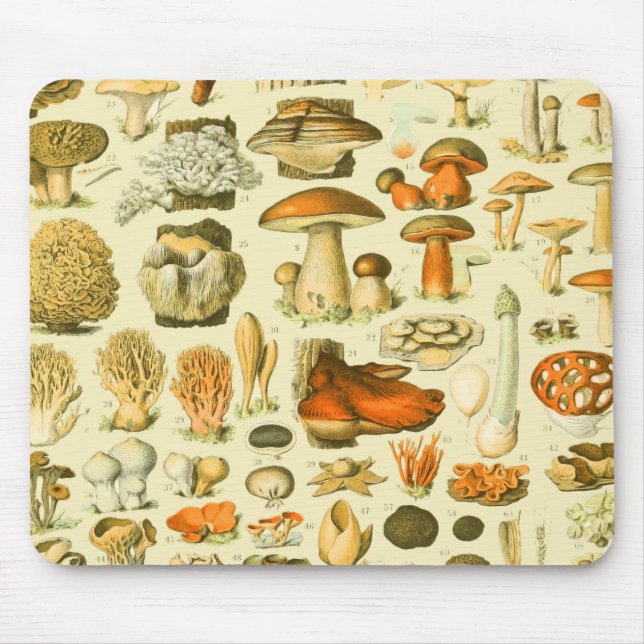 Mushroom Vintage Toadstool Antique Illustration Mouse Pad (Front)