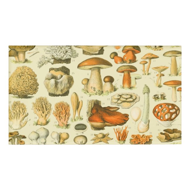 Mushroom Vintage Toadstool Antique Illustration Name Tag (Front)