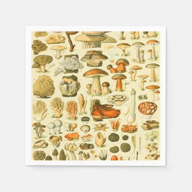 Mushroom Vintage Toadstool Antique Illustration Napkin (Front)