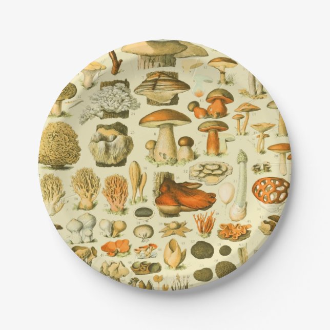 Mushroom Vintage Toadstool Antique Illustration Paper Plate (Front)