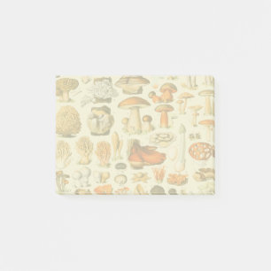 Mushroom Vintage Toadstool Antique Illustration Post-it Notes