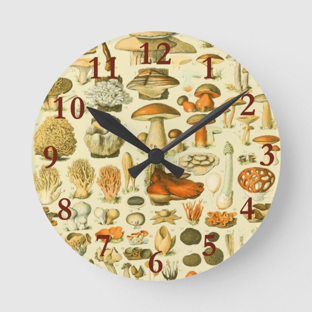 Mushroom Vintage Toadstool Antique Illustration Round Clock (Front)