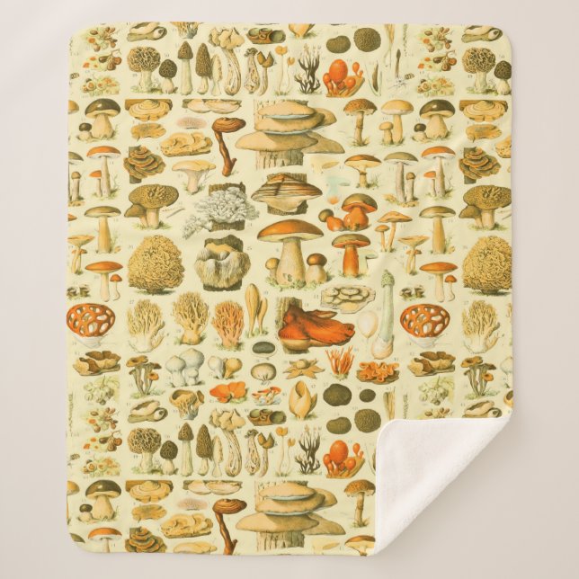Mushroom Vintage Toadstool Antique Illustration Sherpa Blanket (Front)