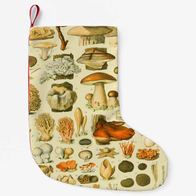 Mushroom Vintage Toadstool Antique Illustration Small Christmas Stocking (Front)