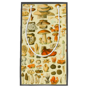 Mushroom Vintage Toadstool Antique Illustration Small Gift Bag