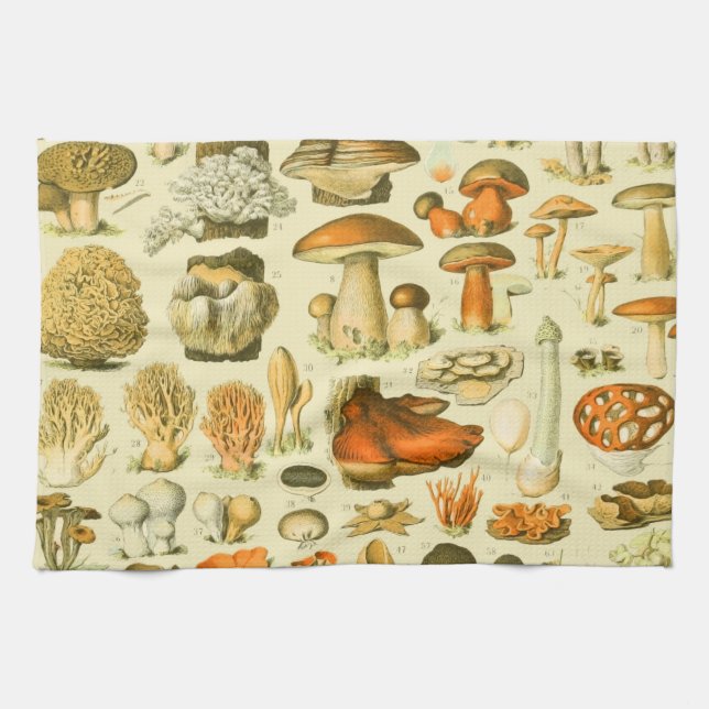 Mushroom Vintage Toadstool Antique Illustration Tea Towel (Horizontal)