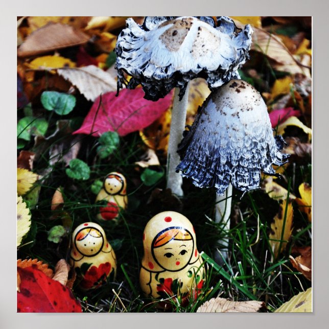 Mushroom voyage poster (Front)