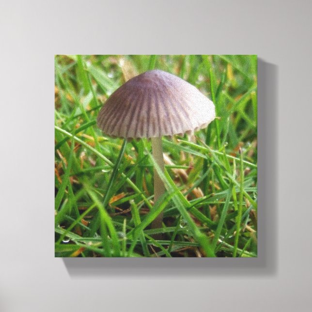 Mushroom Wall Decor Canvas Print (Front)