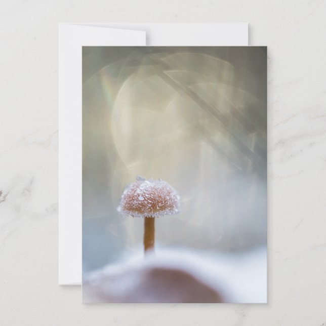 Mushroom Winter Nature Photo Card (Front)