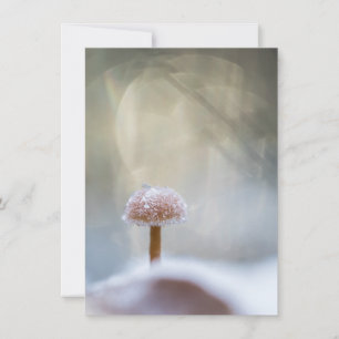 Mushroom Winter Nature Photo Card