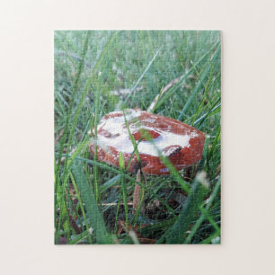 Mushroom With Morning Dew Puzzle