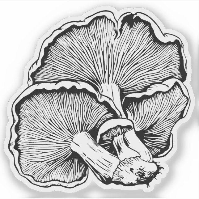  Mushrooms  (Front)