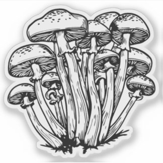 Mushrooms