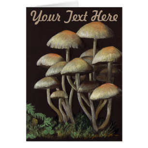 Mushrooms