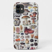 Mushrooms 2