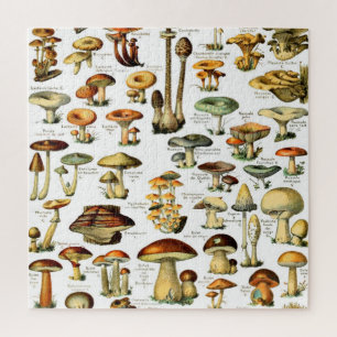 MUSHROOMS 4 JIGSAW PUZZLE