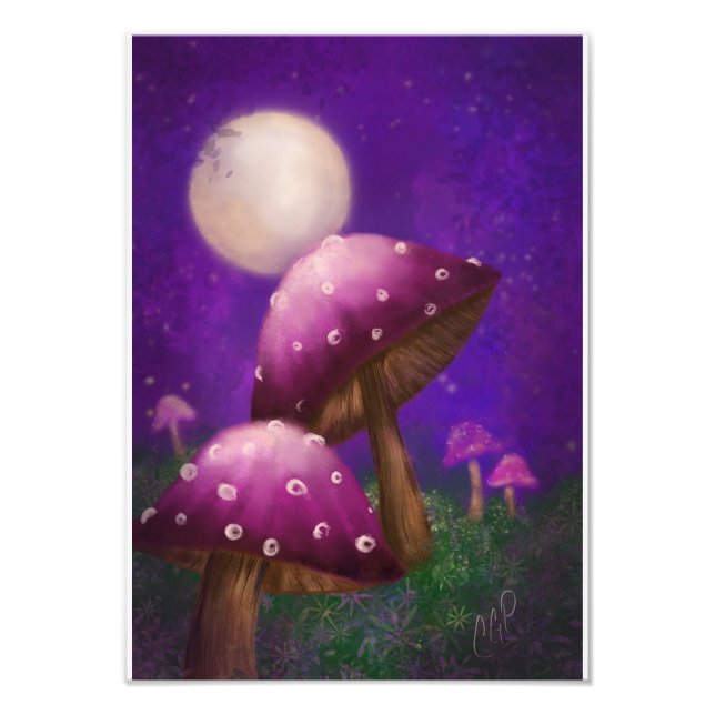 Mushrooms and moonlight photo print (Front)