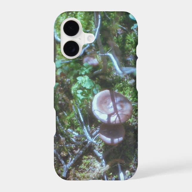 Mushrooms and Moss on Film (Back)
