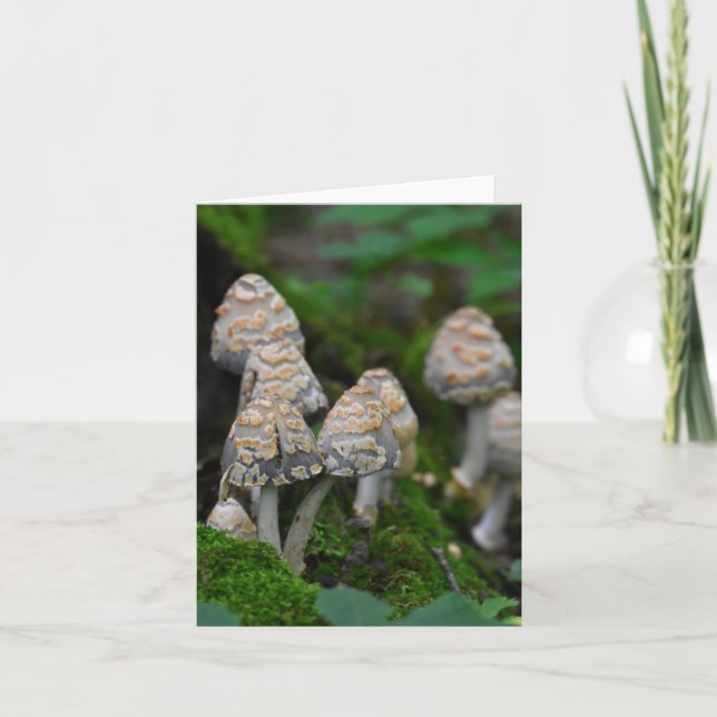 Mushrooms blank notecard (Front)