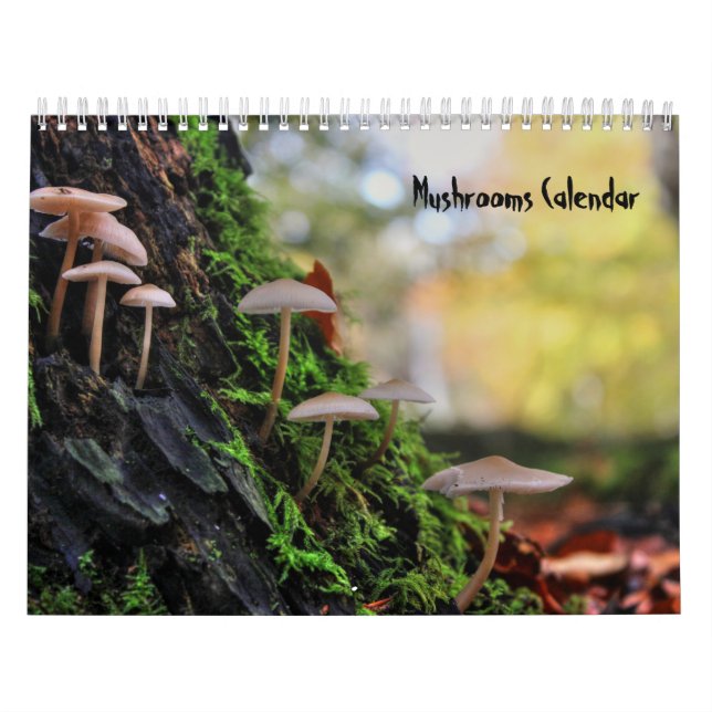 Mushrooms Calendar (Cover)