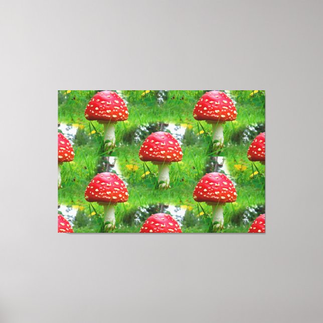 Mushrooms Canvas Print (Front)
