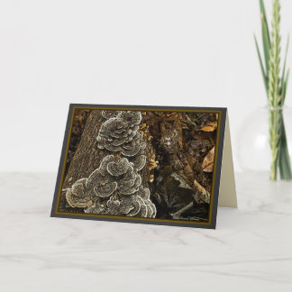 mushrooms card