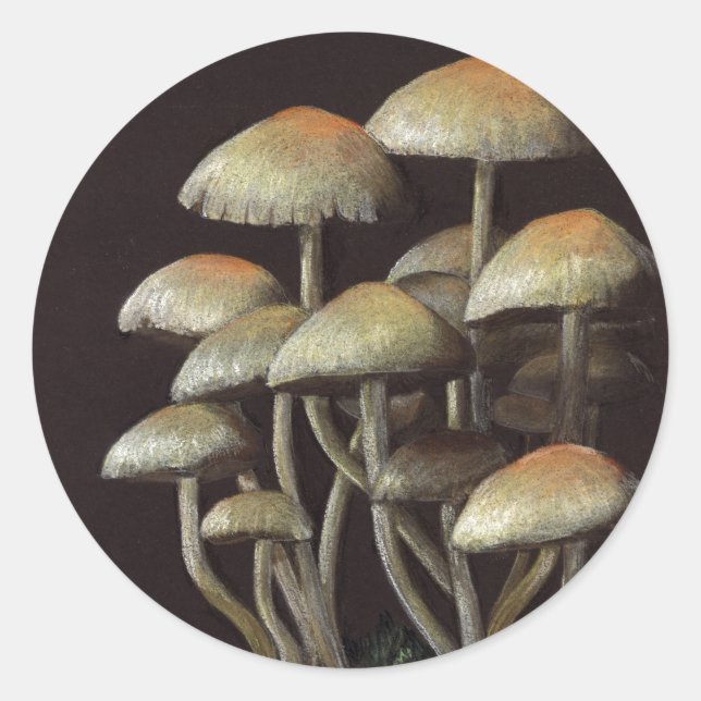 Mushrooms Classic Round Sticker (Front)