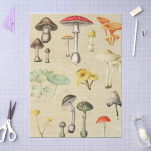 Mushrooms Collage Tissue Paper