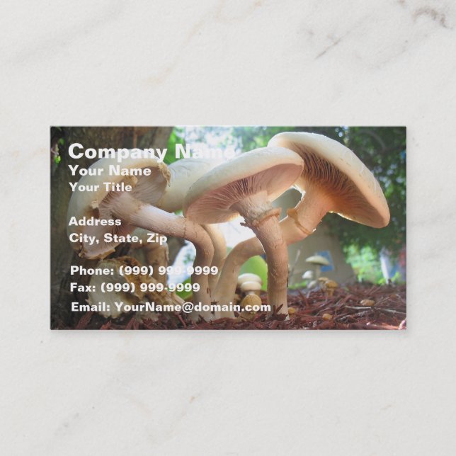 Mushrooms Dancing Business Card (Front)