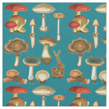 Mushrooms Fungi Plant Botanical Garden collage art