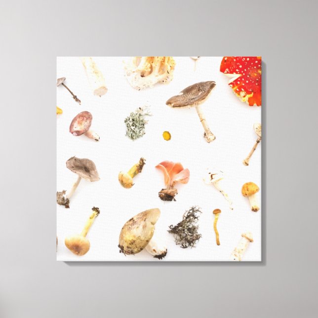 Mushrooms Fungus Canvas Print (Front)