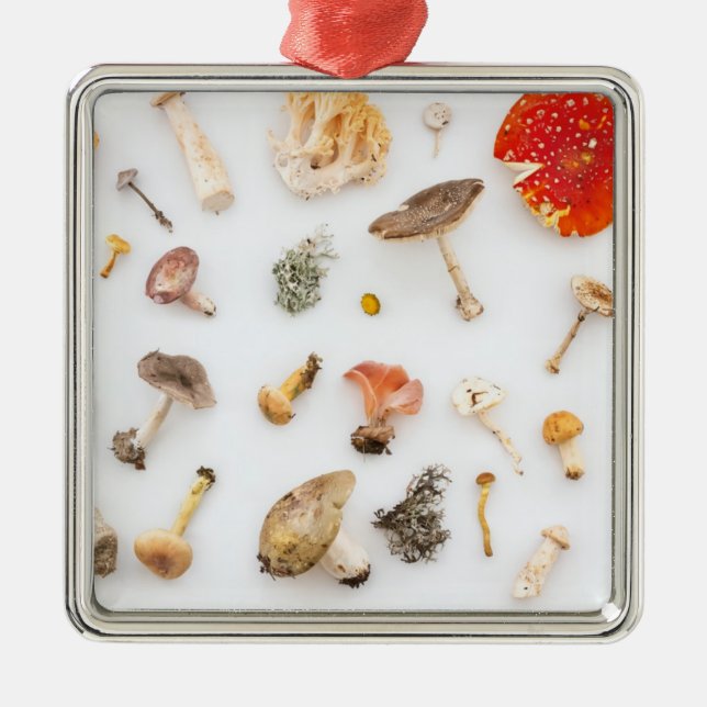 Mushrooms Fungus Metal Tree Decoration (Front)