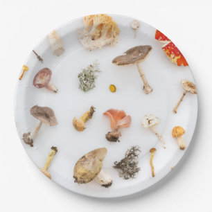 Mushrooms Fungus Paper Plate