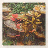 Mushrooms