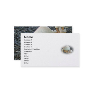 Mushrooms in Mulch - Leucoagaricus americanus Business Card