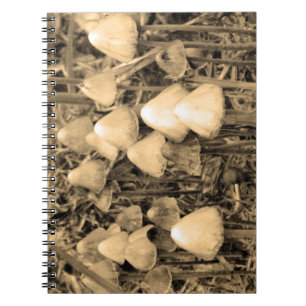 Mushrooms in sepia spiral notebook