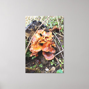 Mushrooms in the Forest Canvas Print