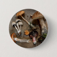 Mushrooms Love Fungi