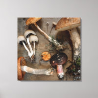 Mushrooms Love Fungi