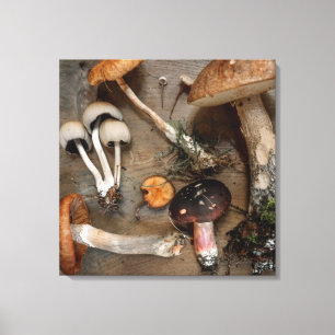Mushrooms Love Fungi Canvas Print