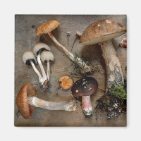 Mushrooms Love Fungi