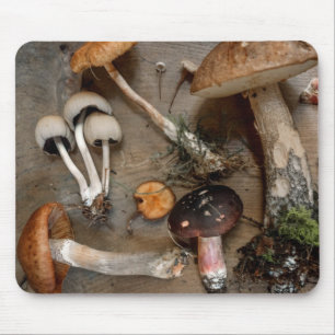 Mushrooms  Love Fungi Mouse Pad