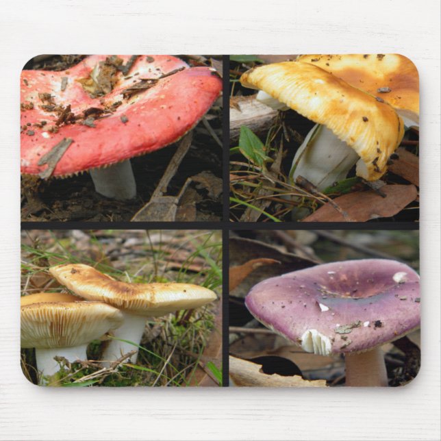 Mushrooms Mousepad (Front)