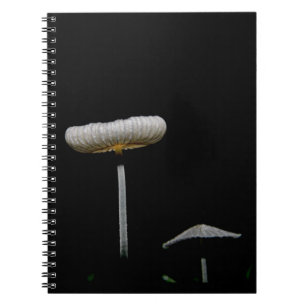 Mushrooms notebook