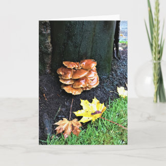 Mushrooms on a Tree, Oregon Card