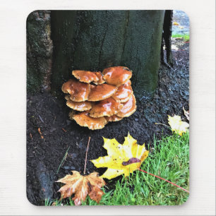 Mushrooms on a Tree, Oregon Mouse Pad